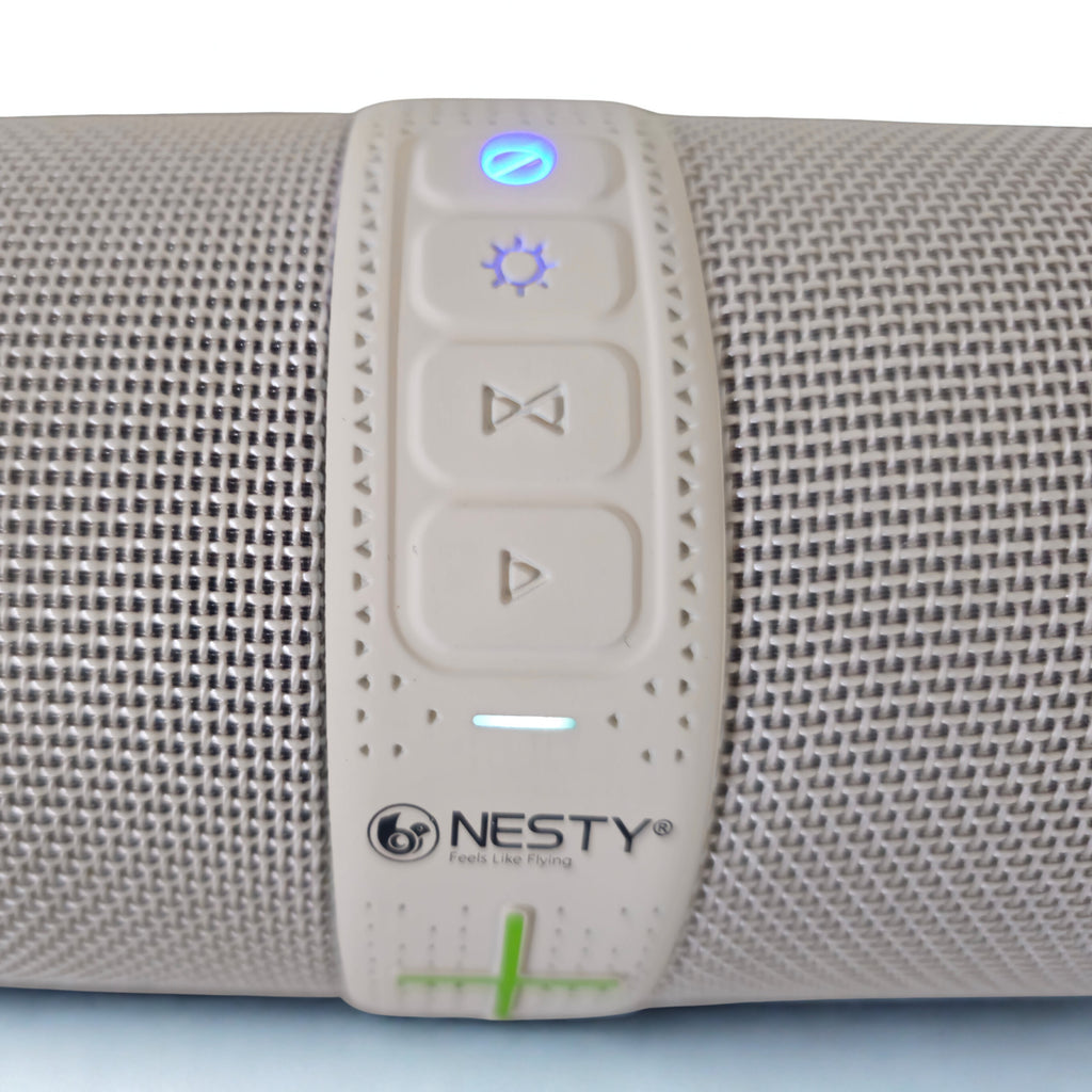 Nesty Thunder series